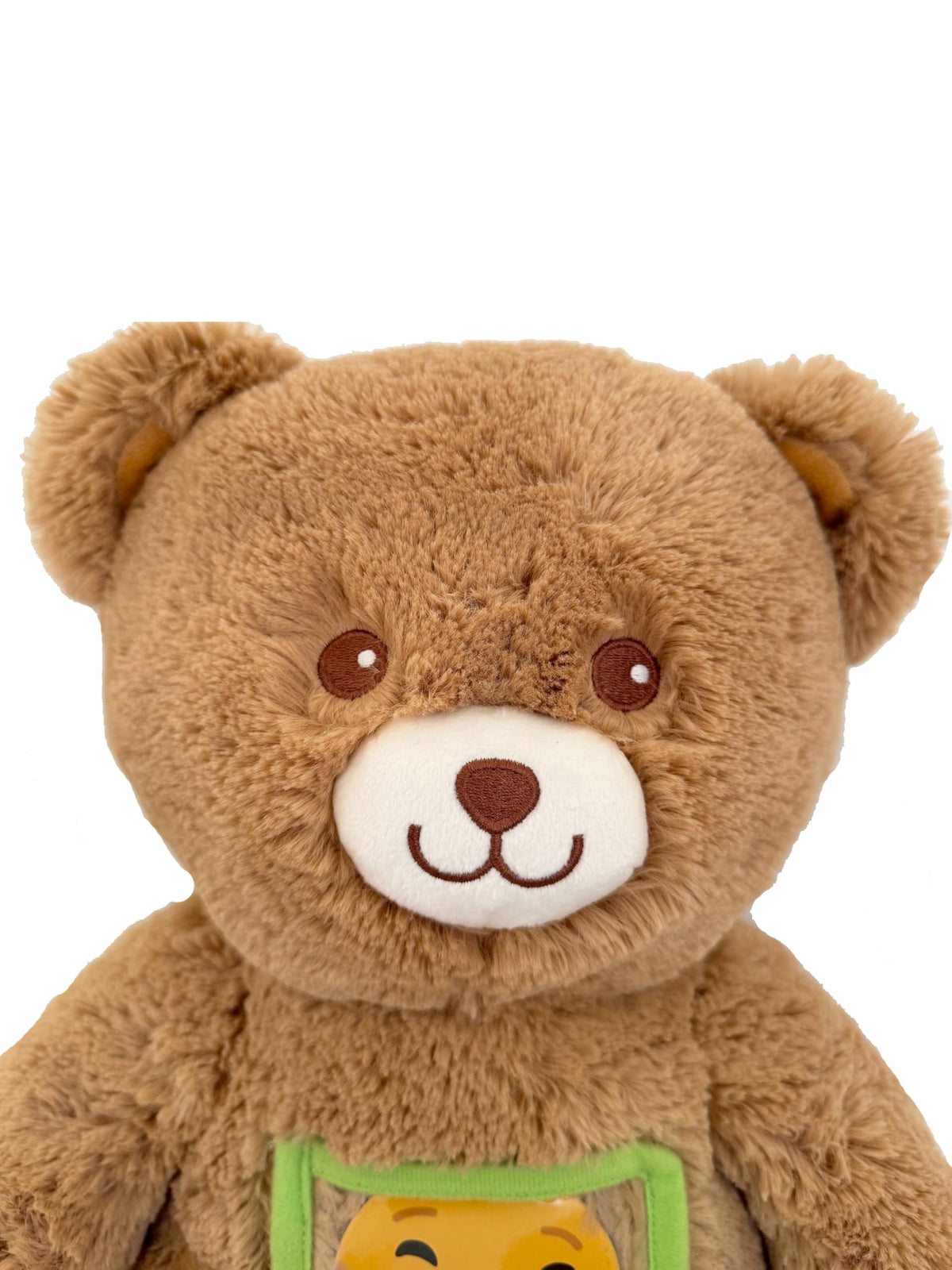 Gaston la peluche émotions-expression des emotions- autoregulation