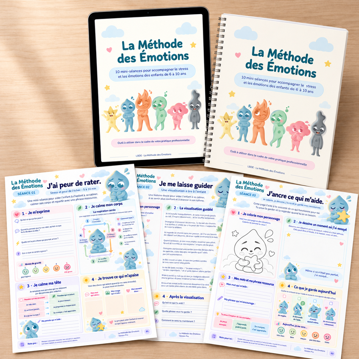 La Méthode des Émotions version Pro, 10 mini-séances pour professionnels – vue 4