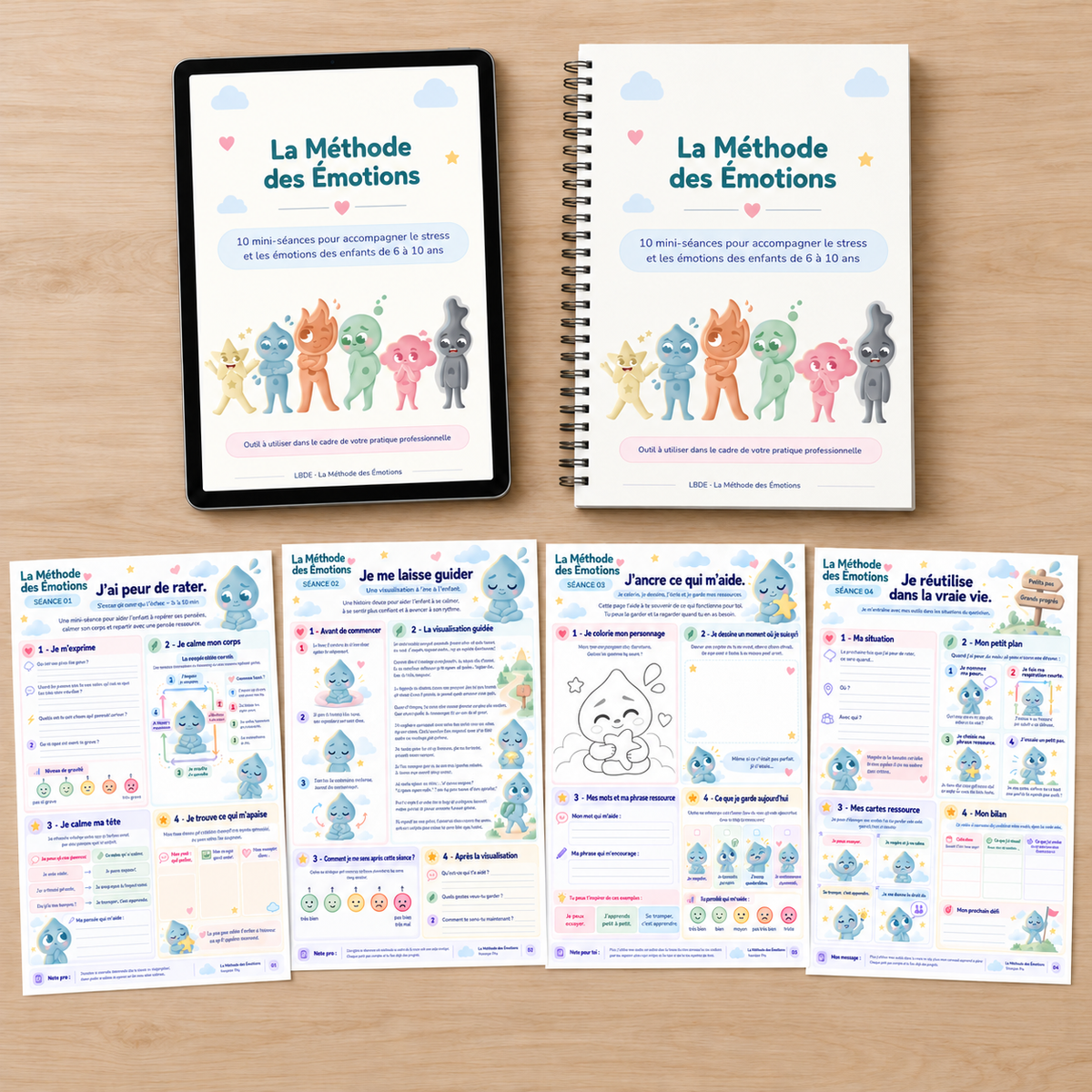 La Méthode des Émotions version Pro, 10 mini-séances pour professionnels